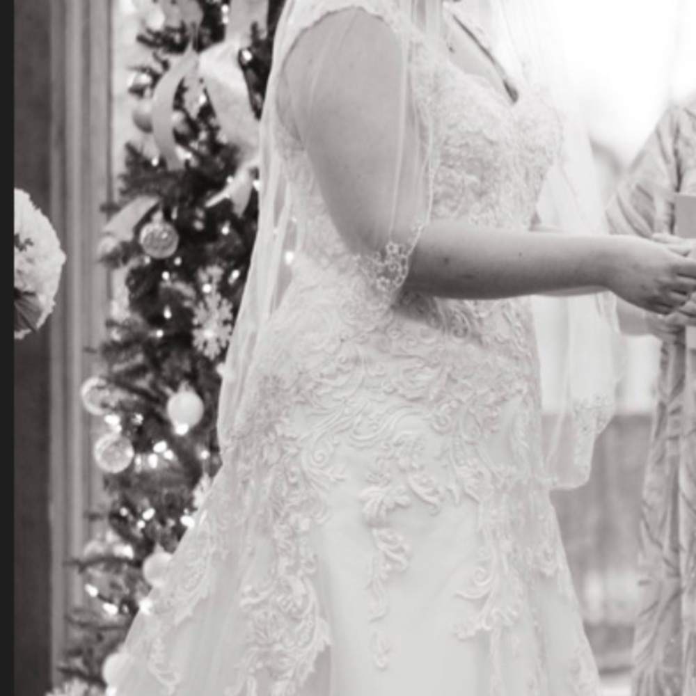 David's Bridal Ivory Lace Sleeveless Gown